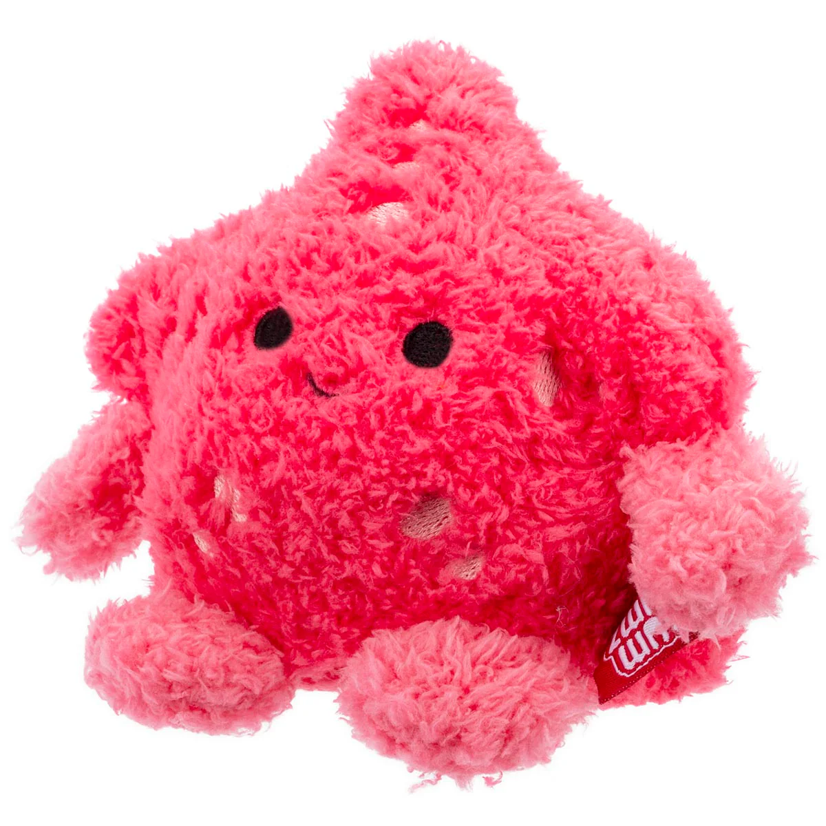 Starfish Sandrine - Image 4